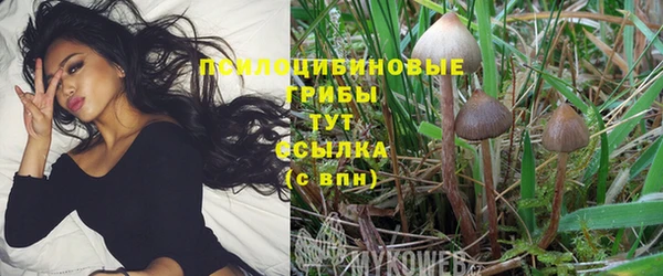 MDMA Дмитровск
